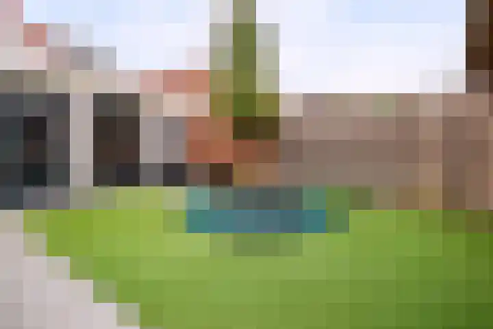 Lieshoutseweg 37 Aarle-Rixtel thumbnail 8