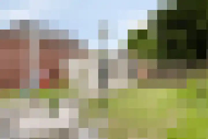 Lieshoutseweg 42 b Aarle-Rixtel thumbnail 22