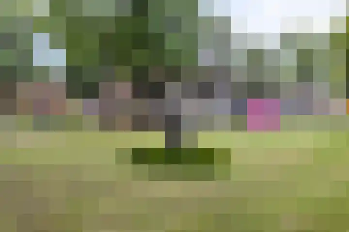 Lieshoutseweg 42 b Aarle-Rixtel thumbnail 34