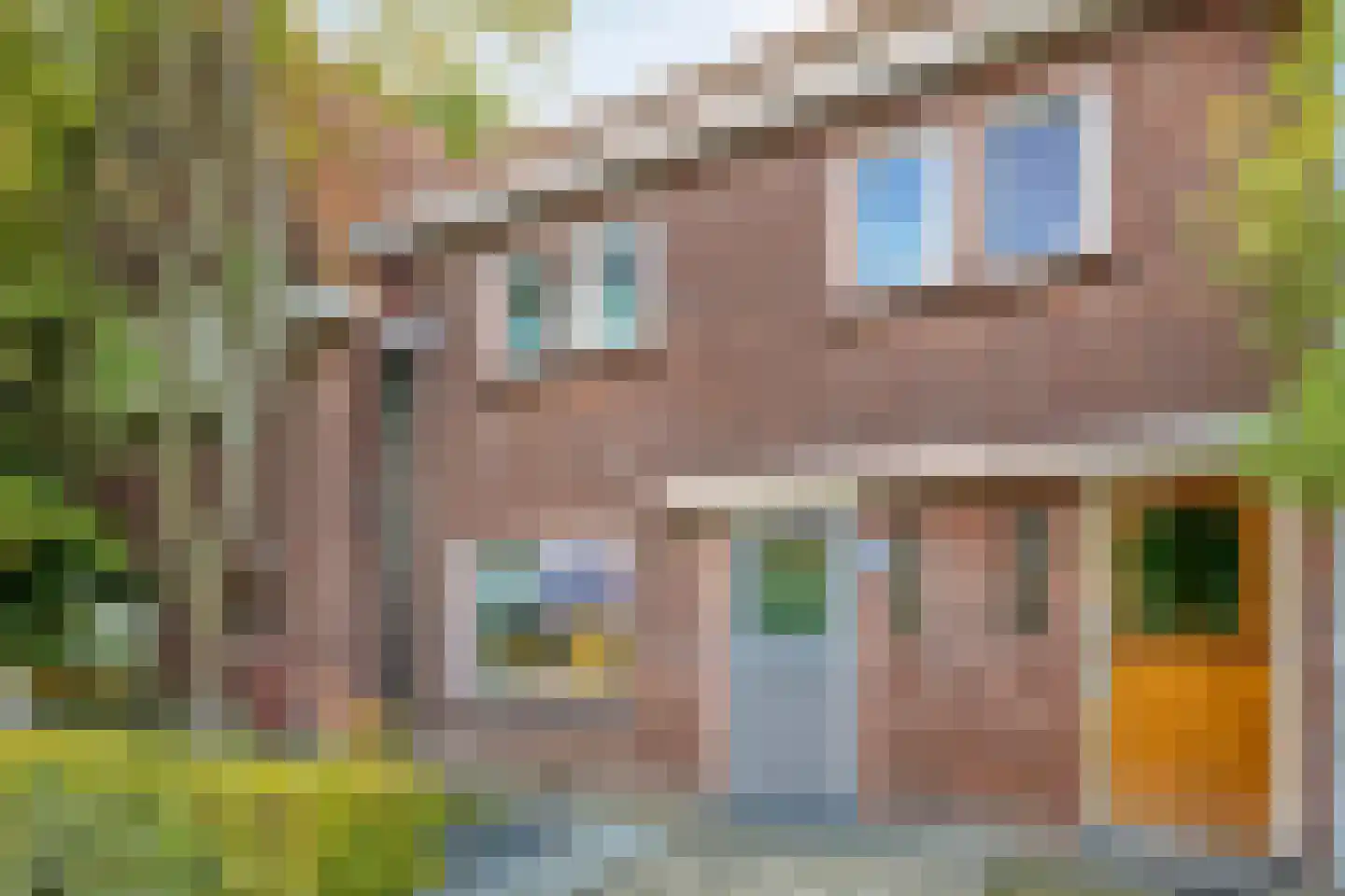Lieshoutseweg 45 Aarle-Rixtel thumbnail 10