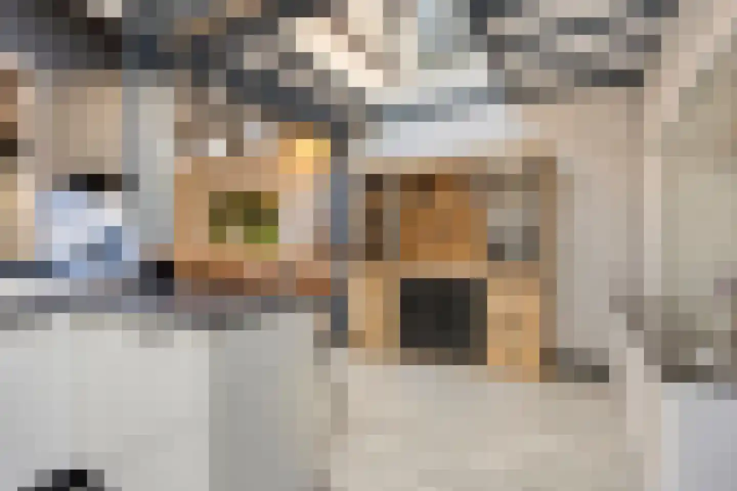 Lieshoutseweg 45 Aarle-Rixtel thumbnail 22