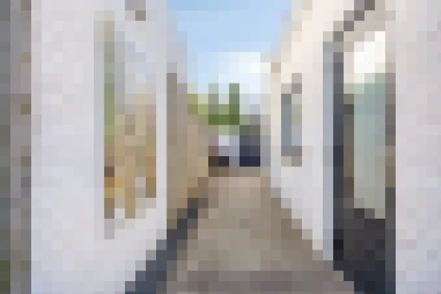 Lieshoutseweg 45 Aarle-Rixtel thumbnail 43