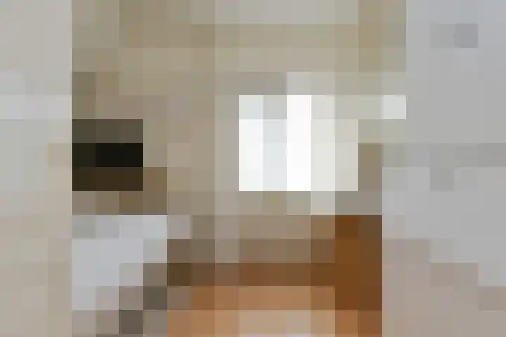 Lieshoutseweg 73 Aarle-Rixtel thumbnail 19