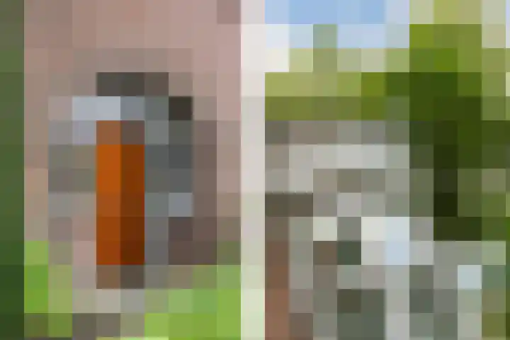 Lieshoutseweg 73 Aarle-Rixtel thumbnail 4