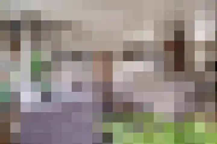 Lieshoutstraat 108 Arnhem thumbnail 18