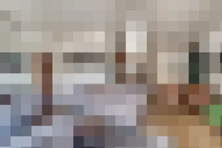 Lieshoutstraat 108 Arnhem thumbnail 20