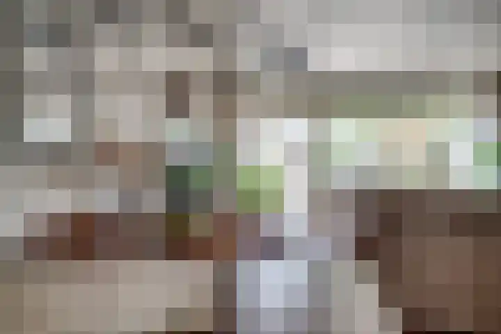 Lieshoutstraat 108 Arnhem thumbnail 24