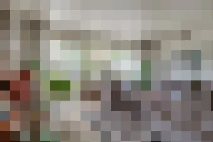 Lieshoutstraat 108 Arnhem thumbnail 25