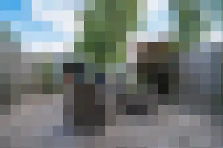 Lieshoutstraat 108 Arnhem thumbnail 27