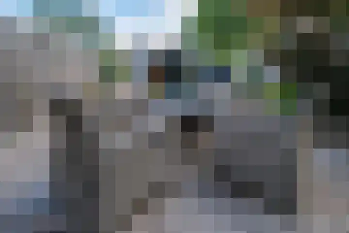 Lieshoutstraat 108 Arnhem thumbnail 28