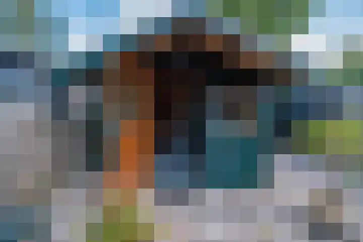 Lieshoutstraat 108 Arnhem thumbnail 29