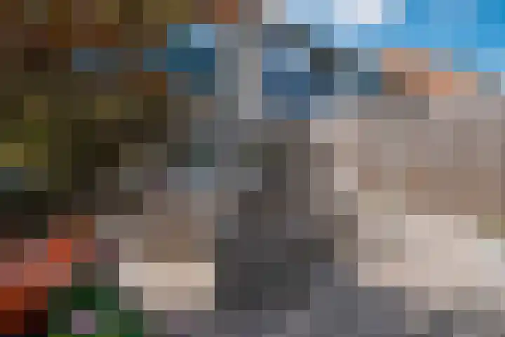 Lieshoutstraat 108 Arnhem thumbnail 32