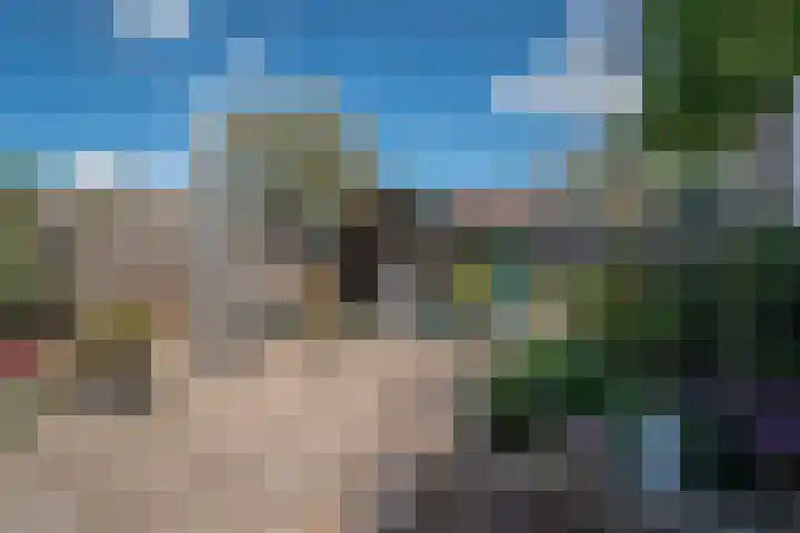 Lieshoutstraat 108 Arnhem thumbnail 33