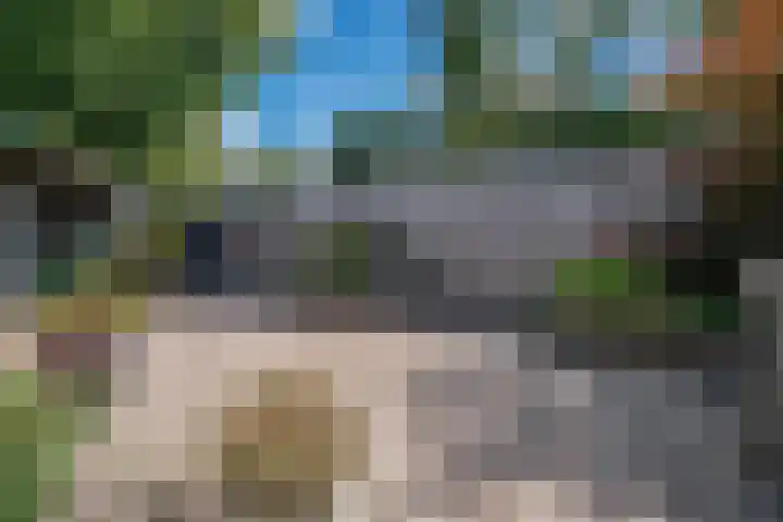 Lieshoutstraat 108 Arnhem thumbnail 34
