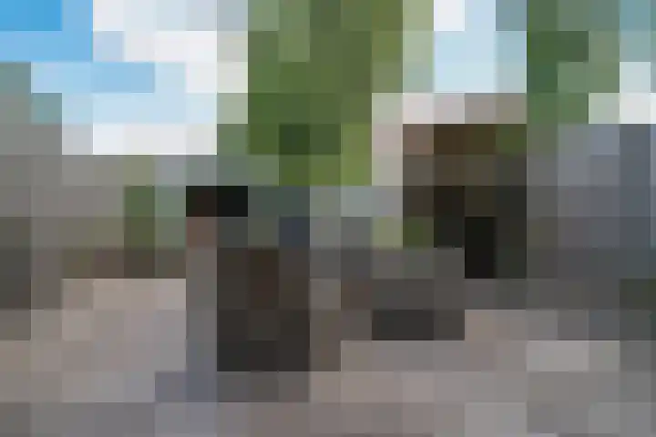 Lieshoutstraat 108 Arnhem thumbnail 37