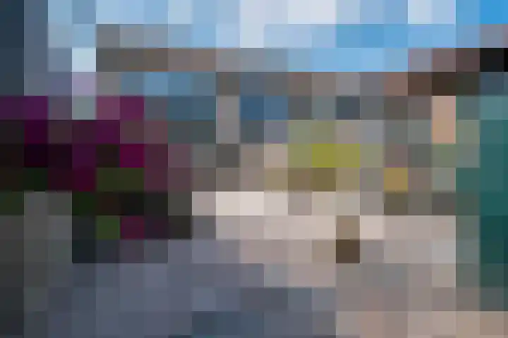 Lieshoutstraat 108 Arnhem thumbnail 39