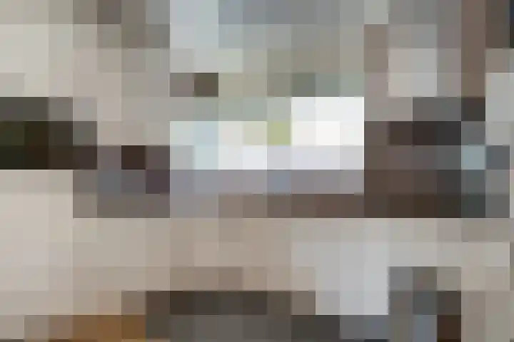 Lieshoutstraat 108 Arnhem thumbnail 4