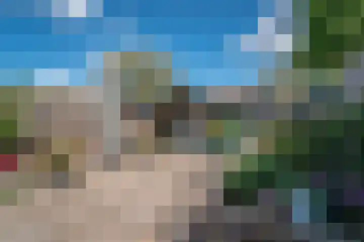 Lieshoutstraat 108 Arnhem thumbnail 40
