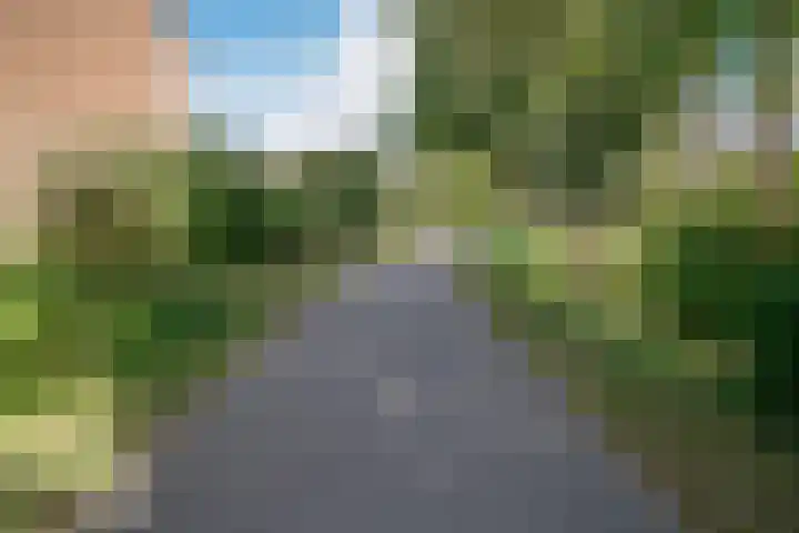 Lieshoutstraat 108 Arnhem thumbnail 42
