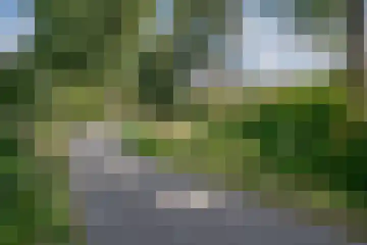 Lieshoutstraat 108 Arnhem thumbnail 43