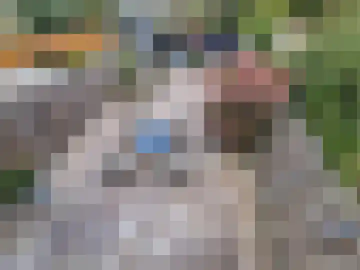 Lieshoutstraat 108 Arnhem thumbnail 45