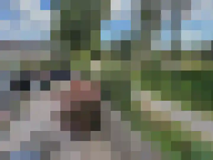Lieshoutstraat 108 Arnhem thumbnail 46