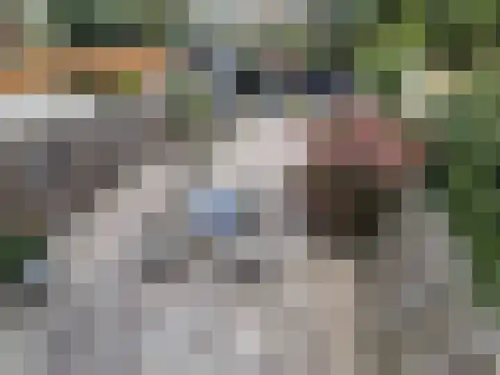 Lieshoutstraat 108 Arnhem thumbnail 47