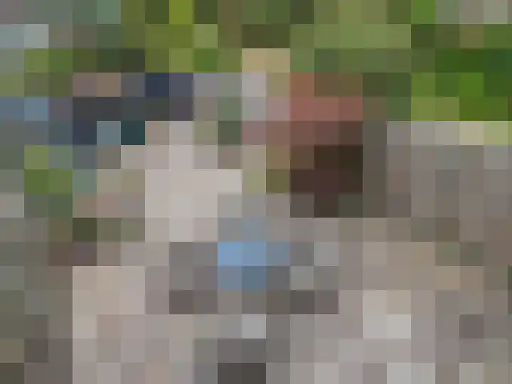 Lieshoutstraat 108 Arnhem thumbnail 48