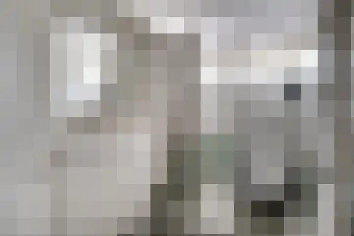 Lieshoutstraat 108 Arnhem thumbnail 60