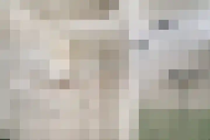 Lieshoutstraat 108 Arnhem thumbnail 64