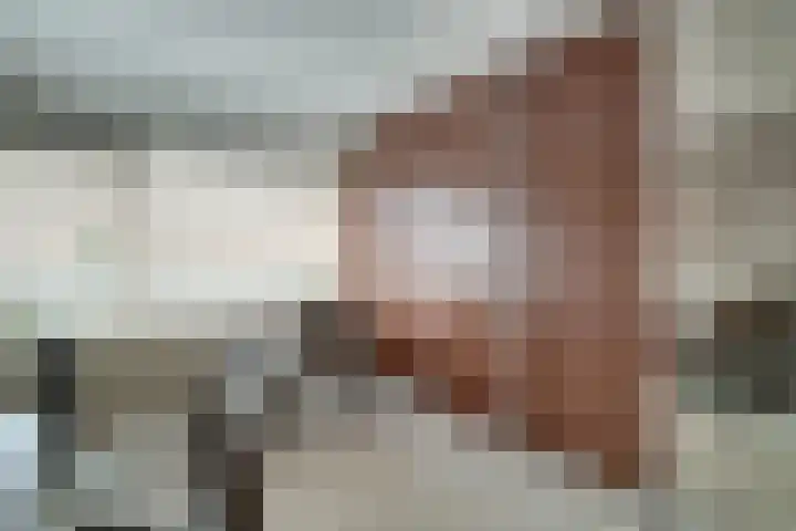 Lieshoutstraat 108 Arnhem thumbnail 66