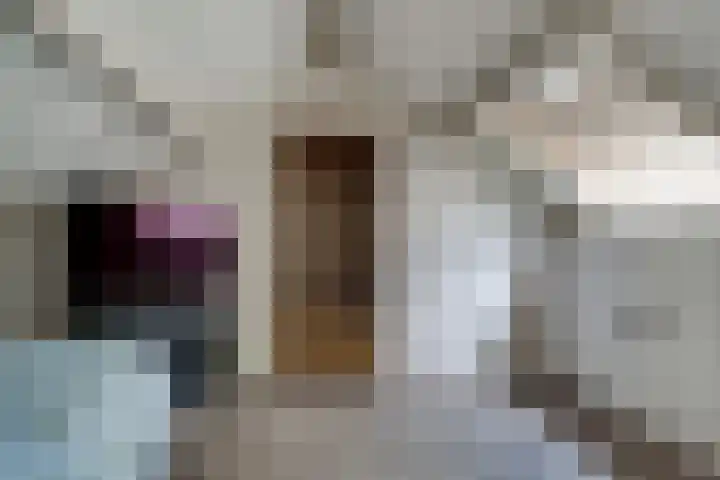 Lieshoutstraat 108 Arnhem thumbnail 70