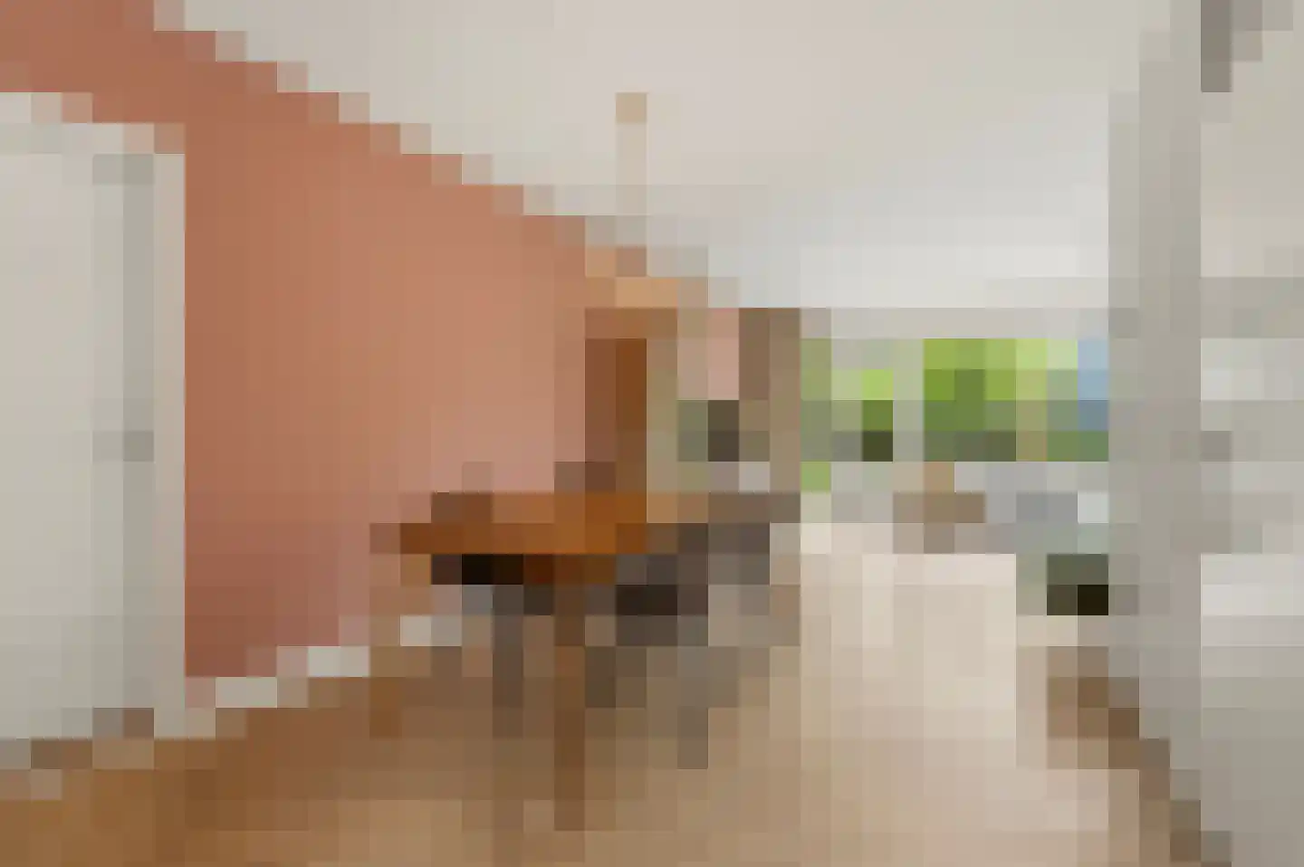 Lieshoutstraat 113 Arnhem thumbnail 10
