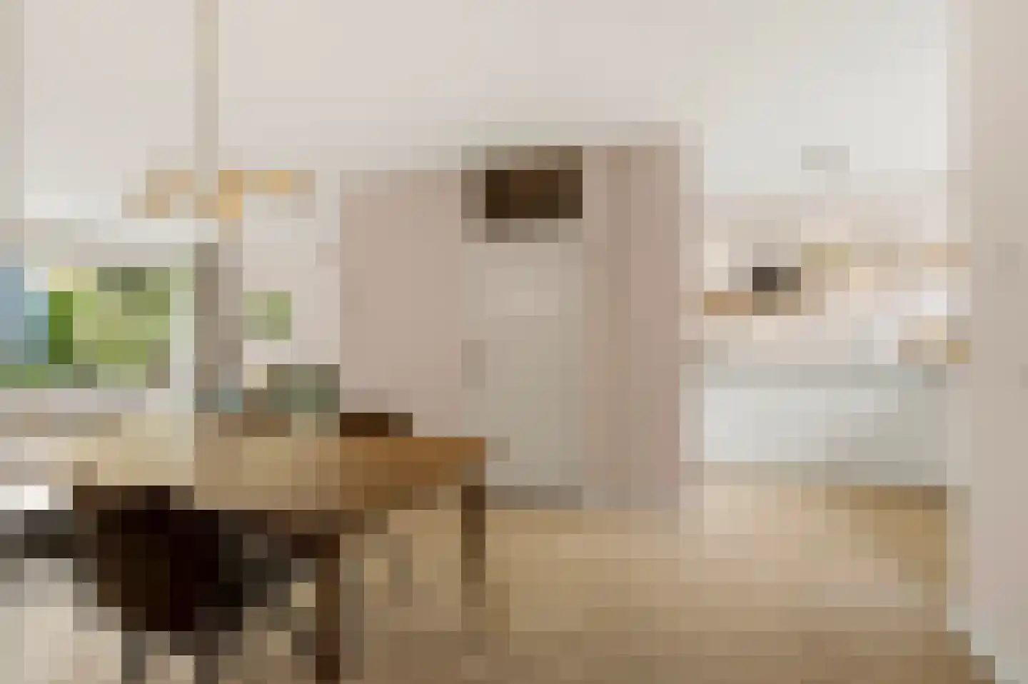 Lieshoutstraat 113 Arnhem thumbnail 11