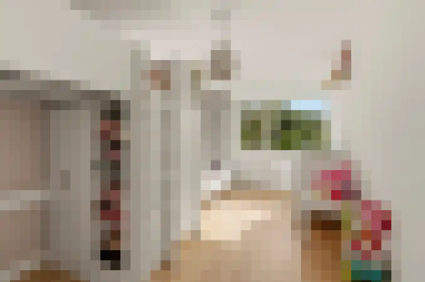 Lieshoutstraat 113 Arnhem thumbnail 21