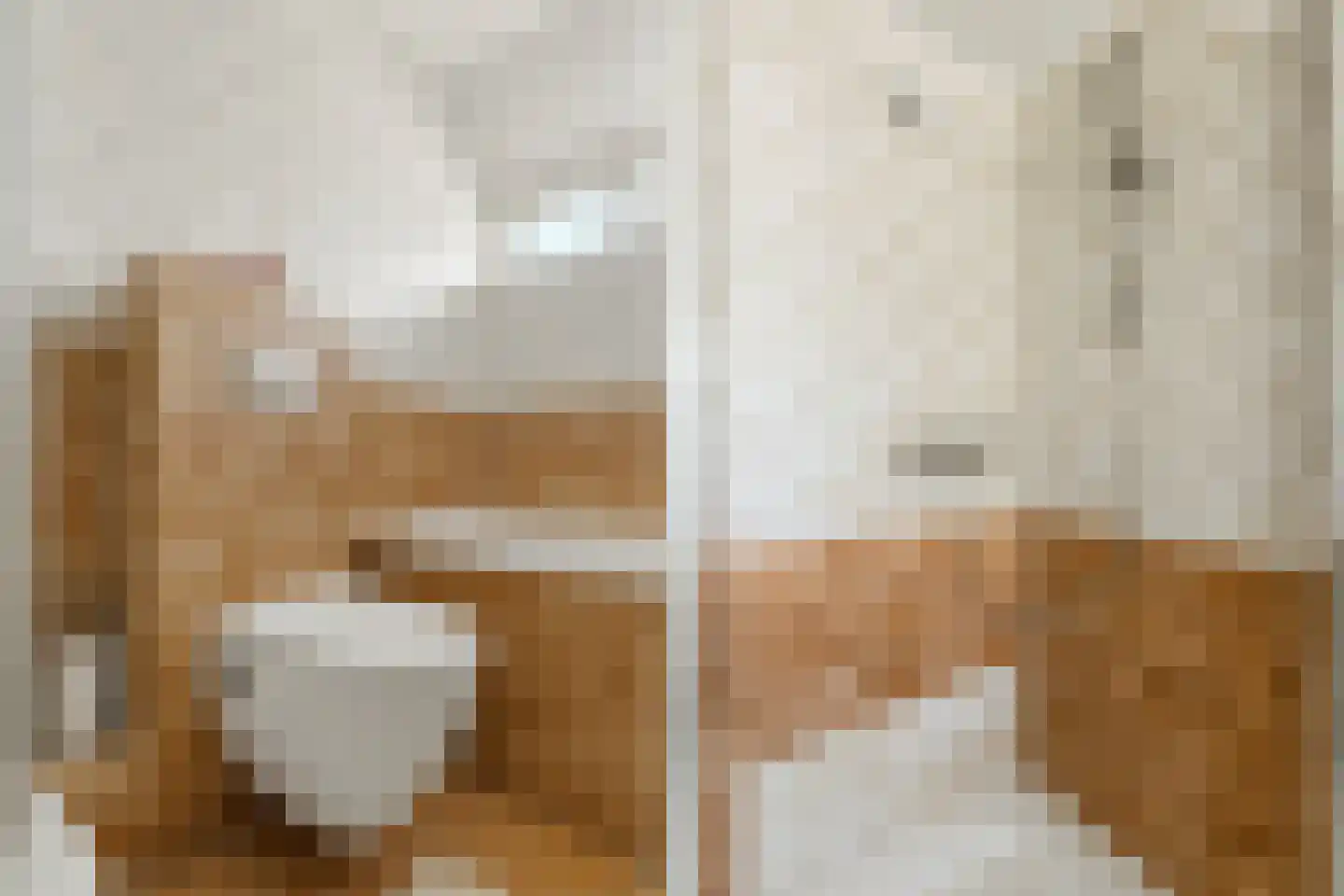Lieshoutstraat 113 Arnhem thumbnail 27