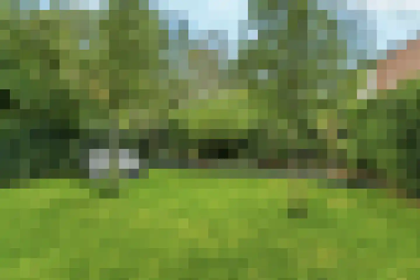 Lieshoutstraat 113 Arnhem thumbnail 35