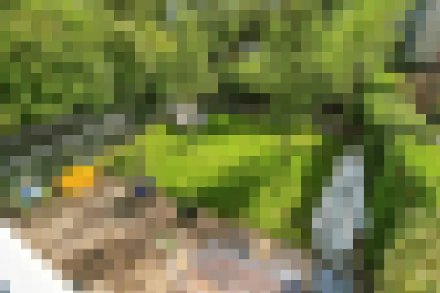 Lieshoutstraat 113 Arnhem thumbnail 37