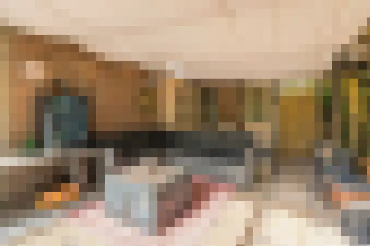 Lieshoutstraat 113 Arnhem thumbnail 38