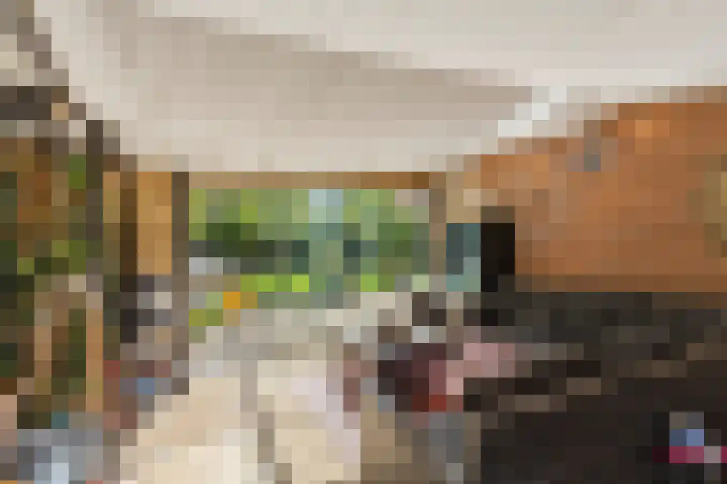 Lieshoutstraat 113 Arnhem thumbnail 39