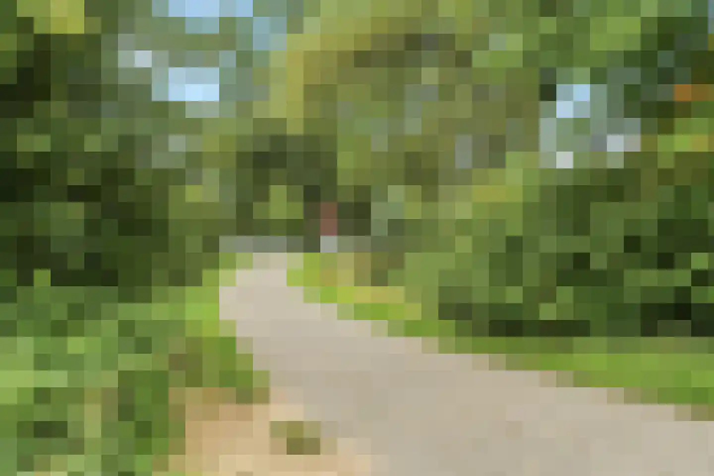 Lieshoutstraat 113 Arnhem thumbnail 40
