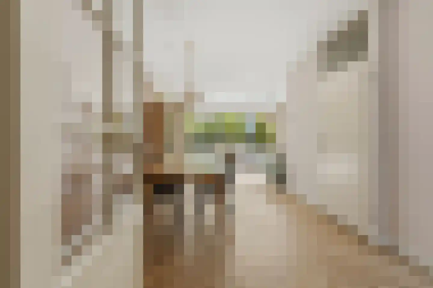 Lieshoutstraat 113 Arnhem thumbnail 5