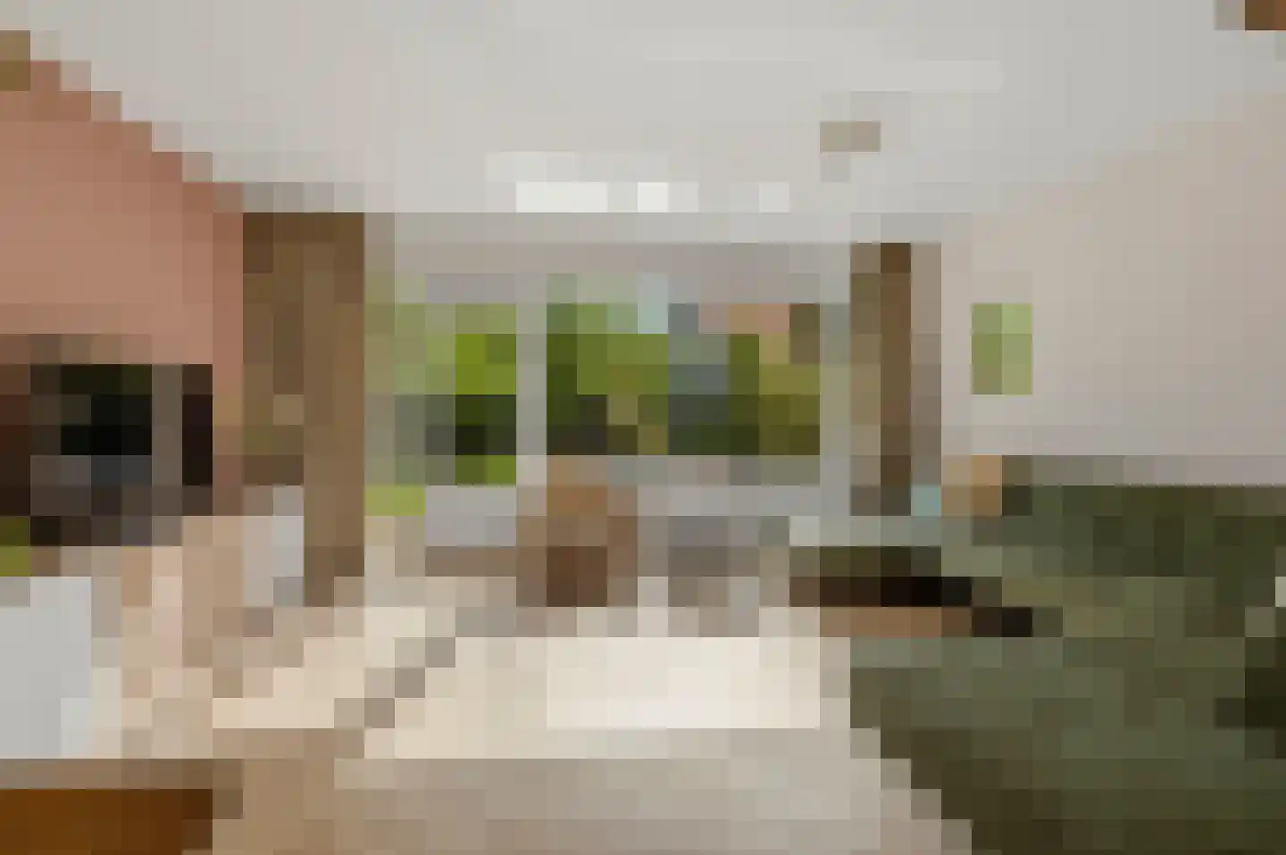 Lieshoutstraat 113 Arnhem thumbnail 6
