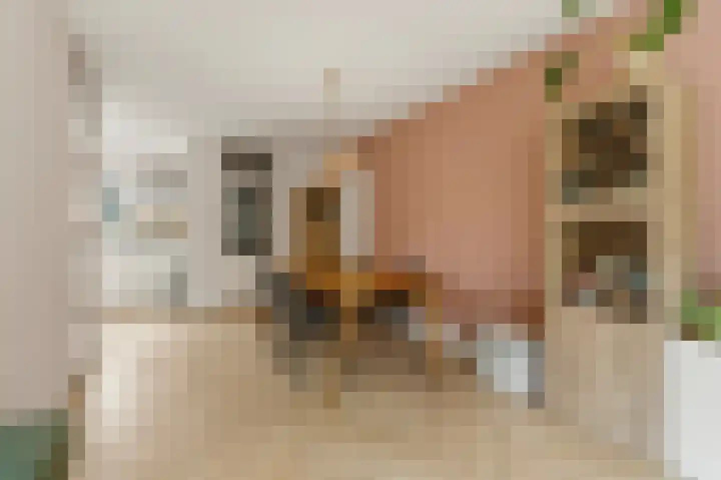 Lieshoutstraat 113 Arnhem thumbnail 9