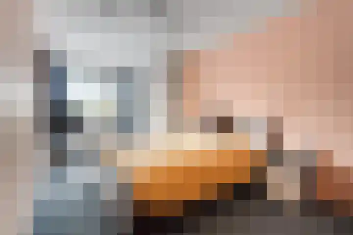 Lieshoutstraat 12 Arnhem thumbnail 17