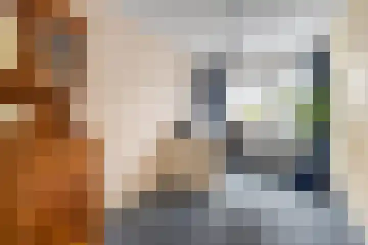 Lieshoutstraat 12 Arnhem thumbnail 23