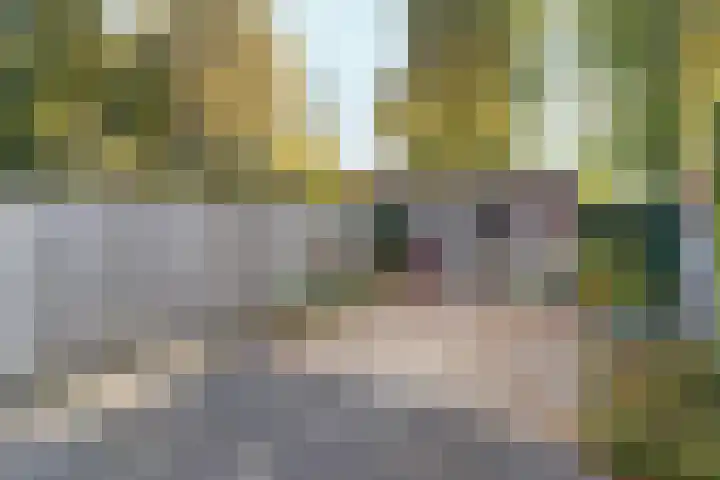 Lieshoutstraat 12 Arnhem thumbnail 29
