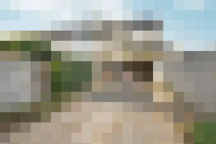 Lieshoutstraat 12 Arnhem thumbnail 31