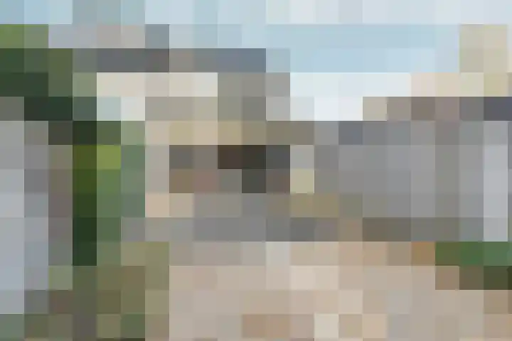 Lieshoutstraat 12 Arnhem thumbnail 32