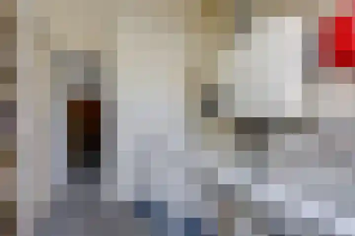 Lieshoutstraat 121 Arnhem thumbnail 35